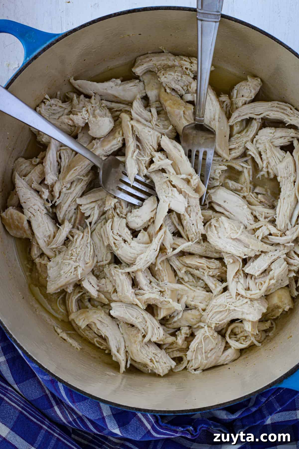 Flavorful Dutch Oven Pulled Chicken Recipe 6 Pulled chicken in a Dutch oven with two forks pulling apart chicken.