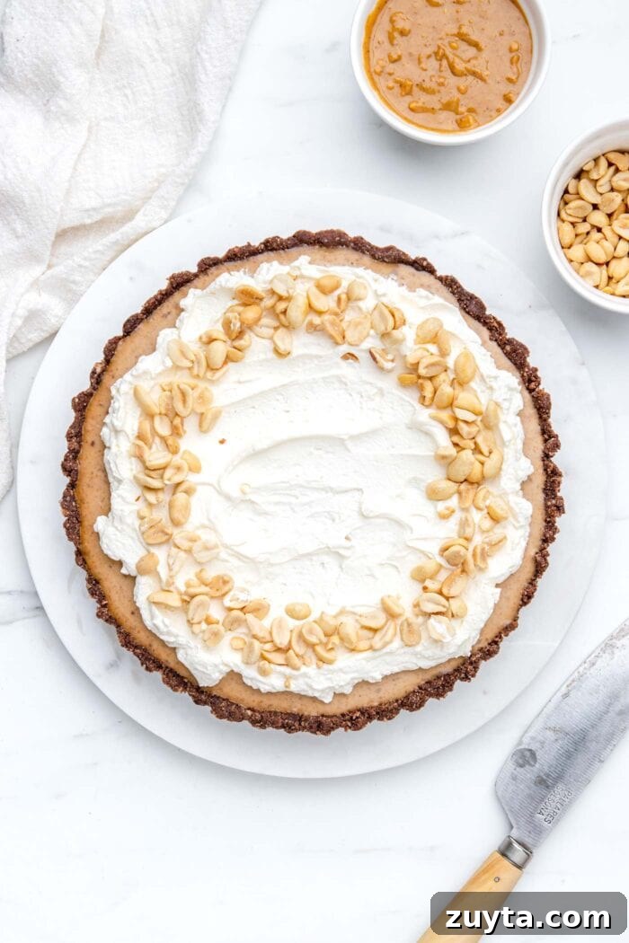 Creamy No-Bake Vegan Peanut Butter Pie 7 Overhead view of a peanut butter pie topped with whipped cream and peanuts.