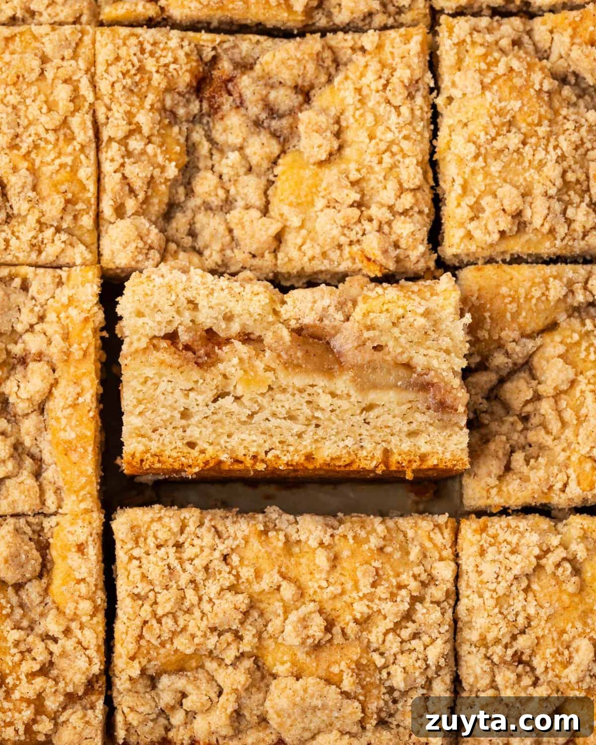 Moist Apple Cinnamon Coffee Cake Recipe 7 Several slices of apple cinnamon coffee cake sitting on a marble counter.