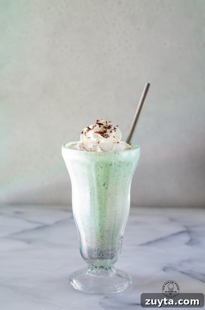 Homemade Milkshake Recipes for Every Craving 5 straight on photo of a mint chocolate chip milkshake