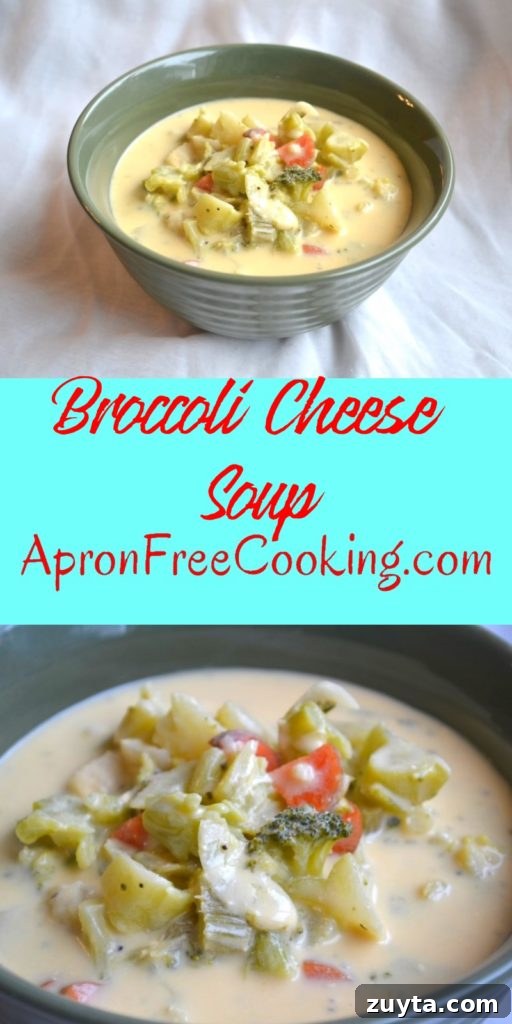 Homemade Creamy Broccoli Cheddar Soup 6 Broccoli Cheese Soup Pin