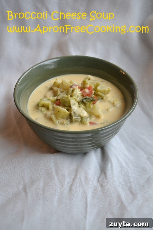 Homemade Creamy Broccoli Cheddar Soup 7 Broccoli Cheese Soup 2