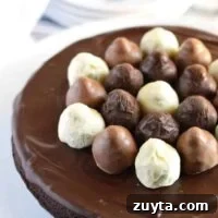 Flourless Chocolate Truffle Cake Recipe 4 Flourless Chocolate Truffle Cake (gluten free) from What The Fork Food Blog | whattheforkfoodblog.com