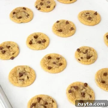 Air Fryer Oreos Recipe: Crispy, Gooey Dessert 14 mini chocolate chip cookies on parchment lined tray