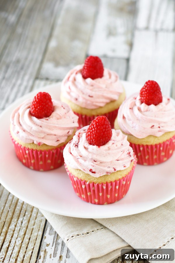 Gluten-Free Vegan Raspberry Vanilla Cupcake Recipe 2 Gluten Free Vegan Raspberry Vanilla Cupcakes. Fluffy vanilla cupcake, topped with a fresh raspberry buttercream. Delightful!