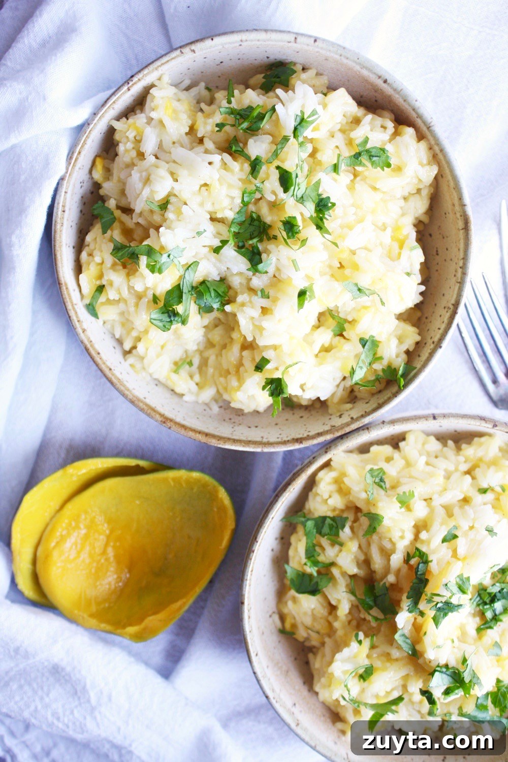 Bowl of coconut mango rice