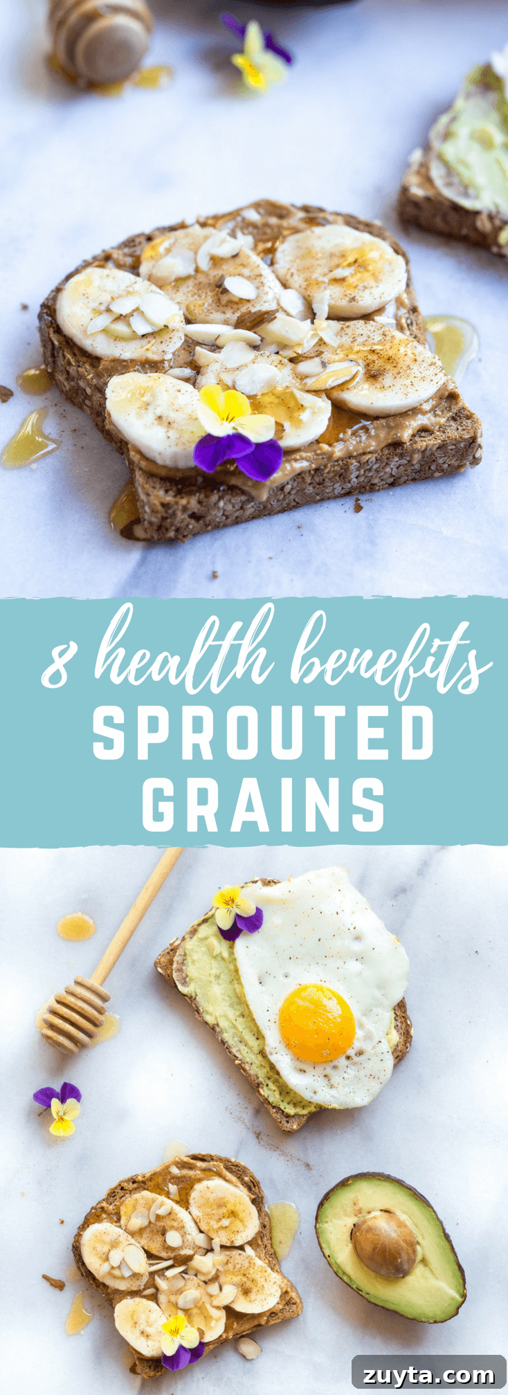 Sprouted Grains Explained: Nutrition, Benefits, and Risks 7 What Are Sprouted Grains? Health Benefits of Sprouted Grains explained. Sprouting unlocks nutrients in 3 easy steps, making them easier to digest!
