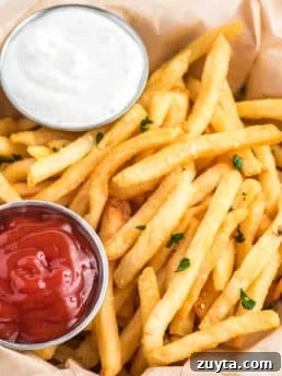 Frozen French Fries in Air Fryer