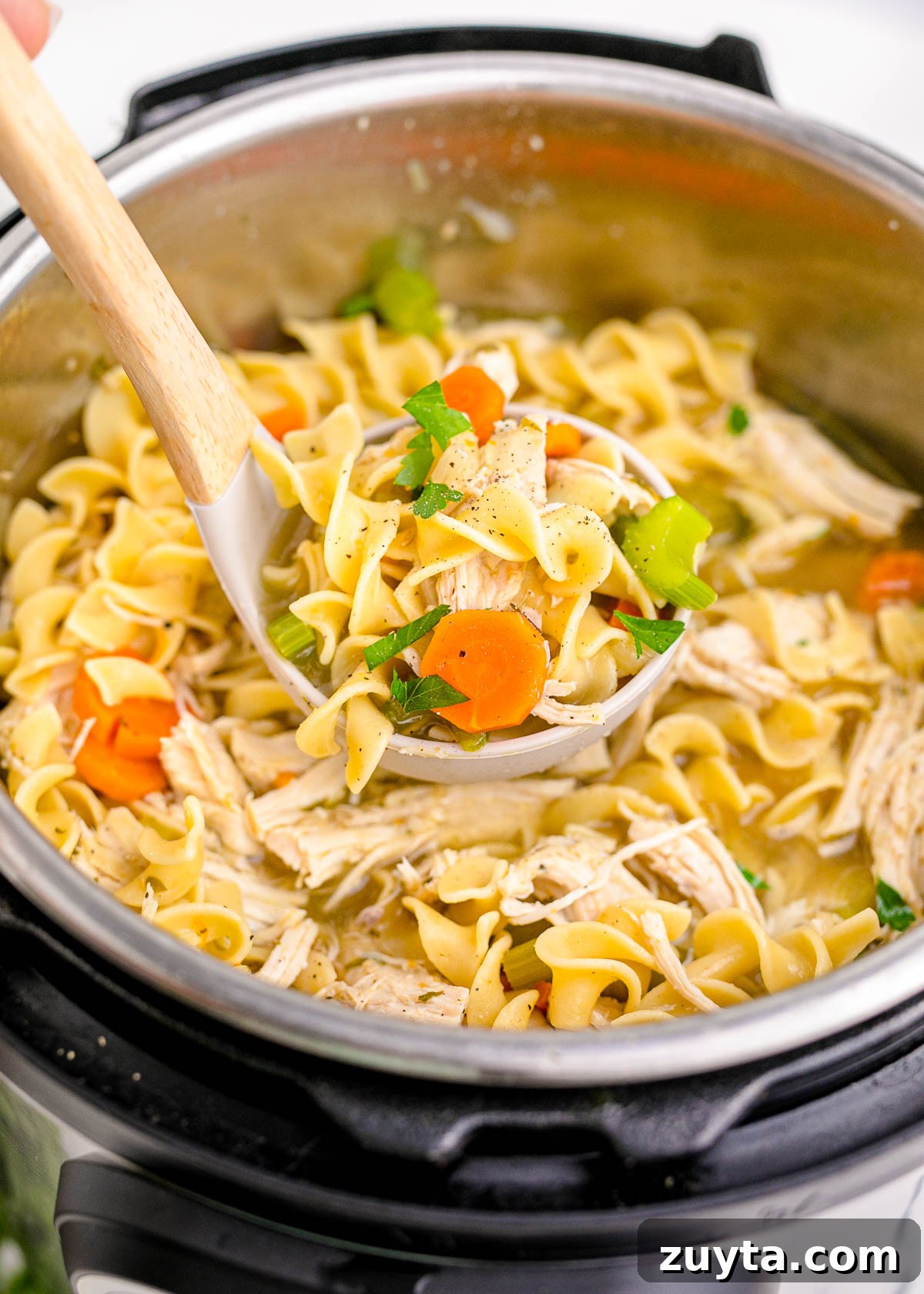 A ladle scooping chicken noodle soup out of an instant pot.