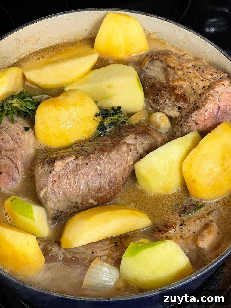 Slow-Braised Apple Cider Pork Shoulder 8 Apple cider braise with pork shoulder.