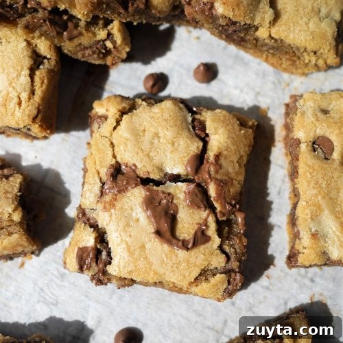 Chocolate peanut butter cookie bars (with chocolate chips)