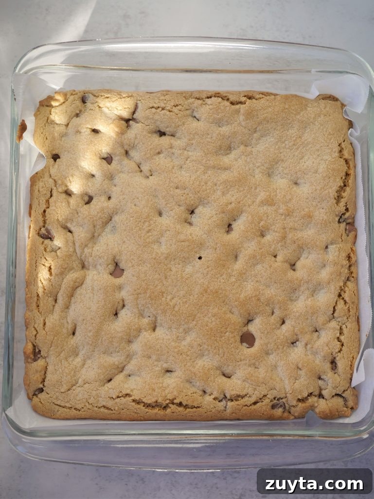 Chewy Chocolate Peanut Butter Cookie Bars with Chocolate Chips 6 img 6031 5