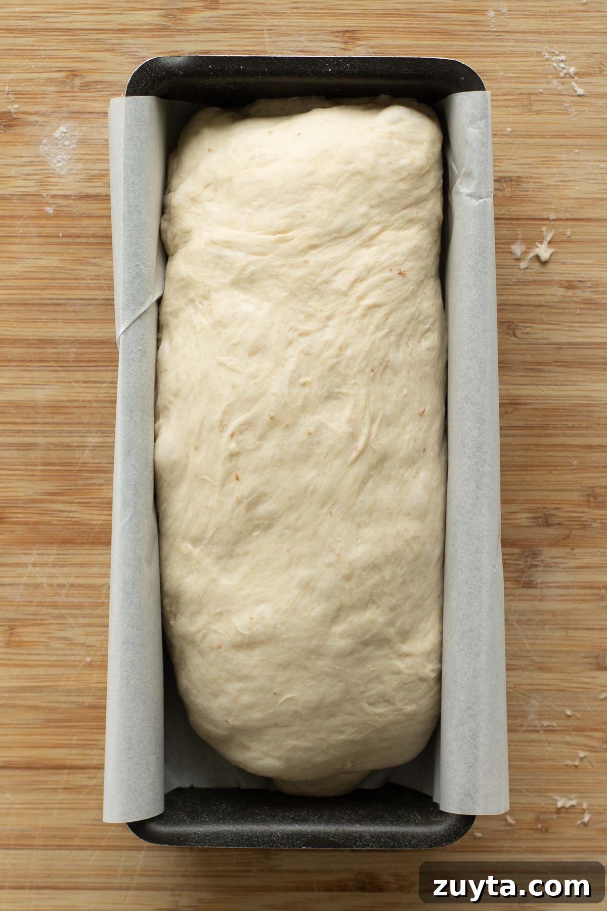 Make Sourdough Sandwich Bread in One Day 13 Shaped dough in loaf pan.