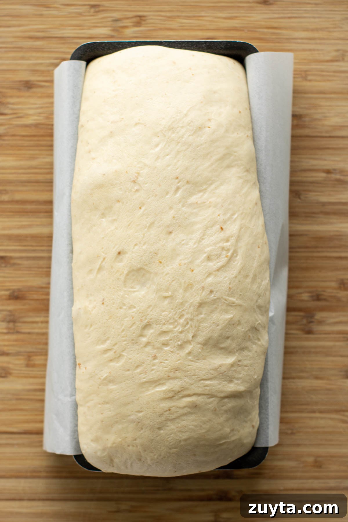 Make Sourdough Sandwich Bread in One Day 14 Dough after second rise.