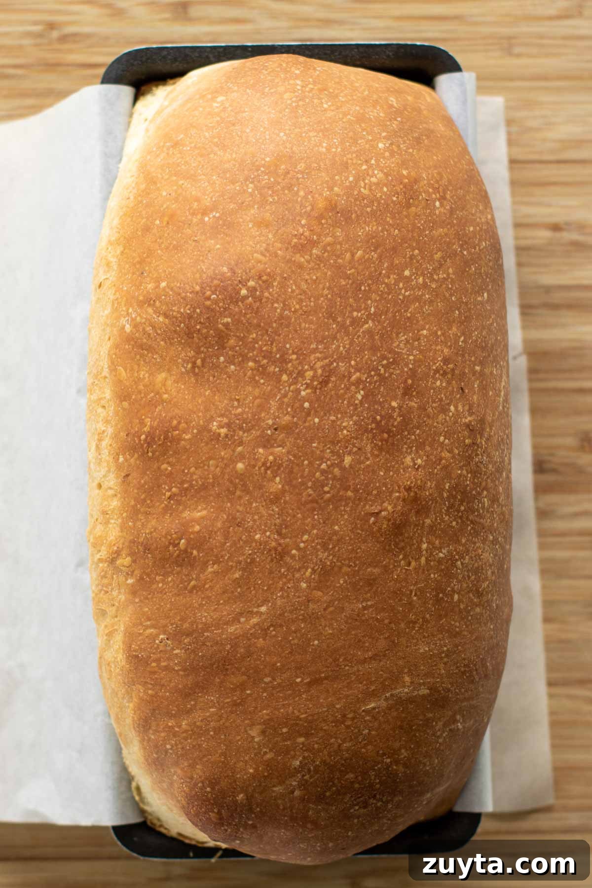Make Sourdough Sandwich Bread in One Day 15 Baked soft sourdough sandwich bread.