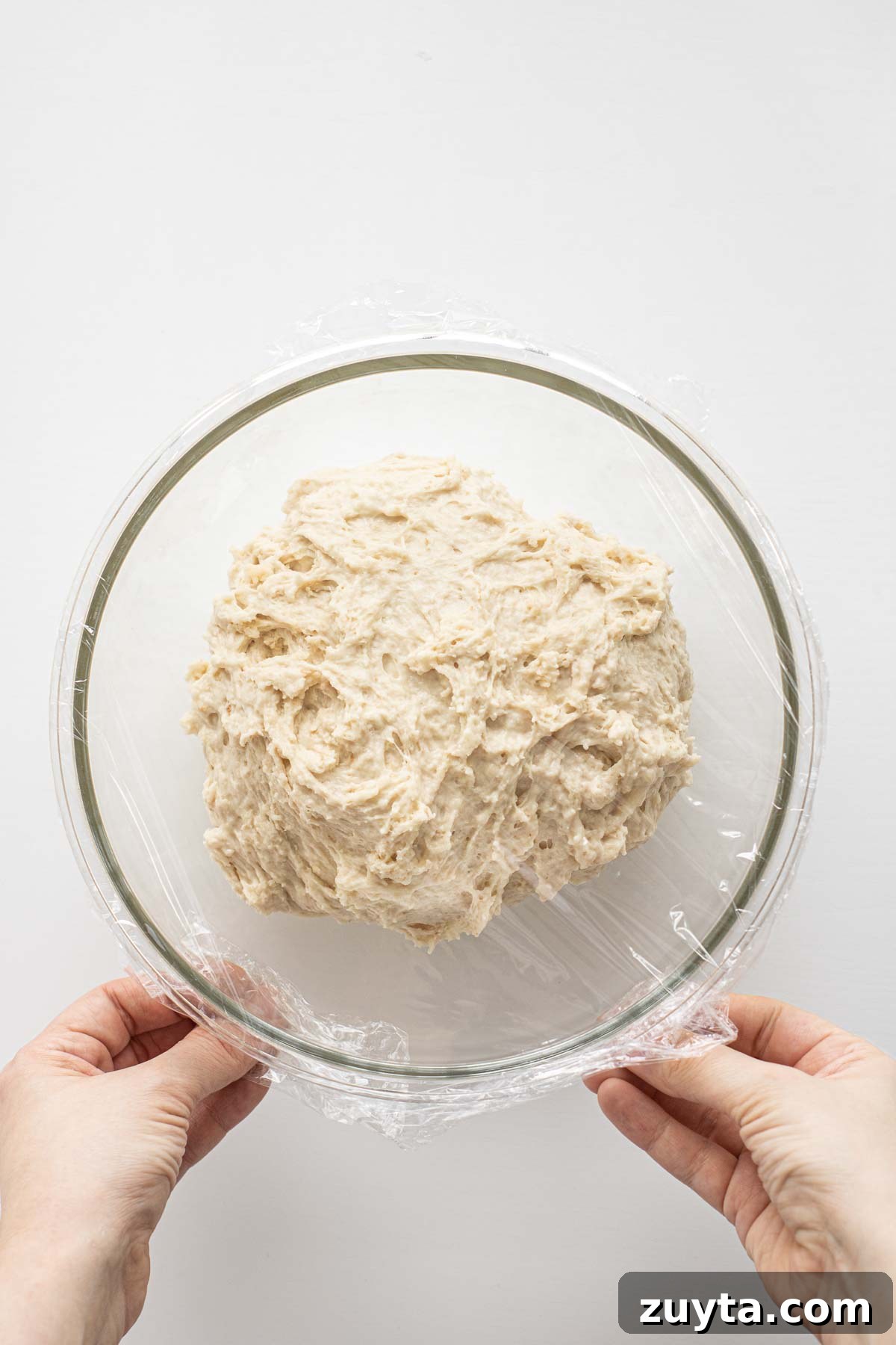 Make Sourdough Sandwich Bread in One Day 6 Dough, formed and covered.