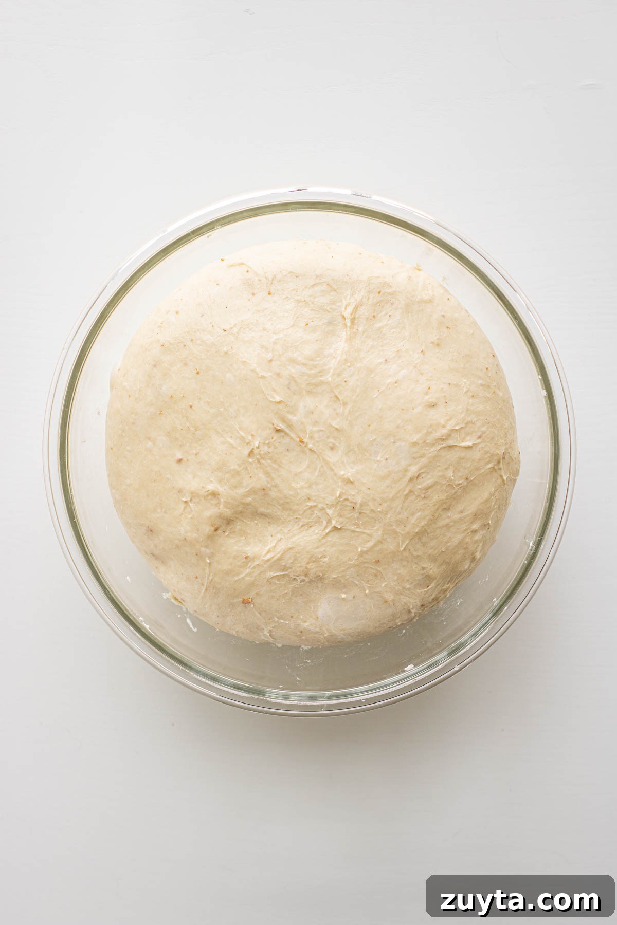 Make Sourdough Sandwich Bread in One Day 9 Dough after bulk rise.