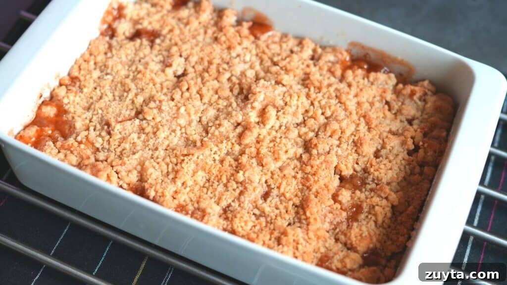 Quick Homemade Apple Crumble Recipe 7 baked apple crumble