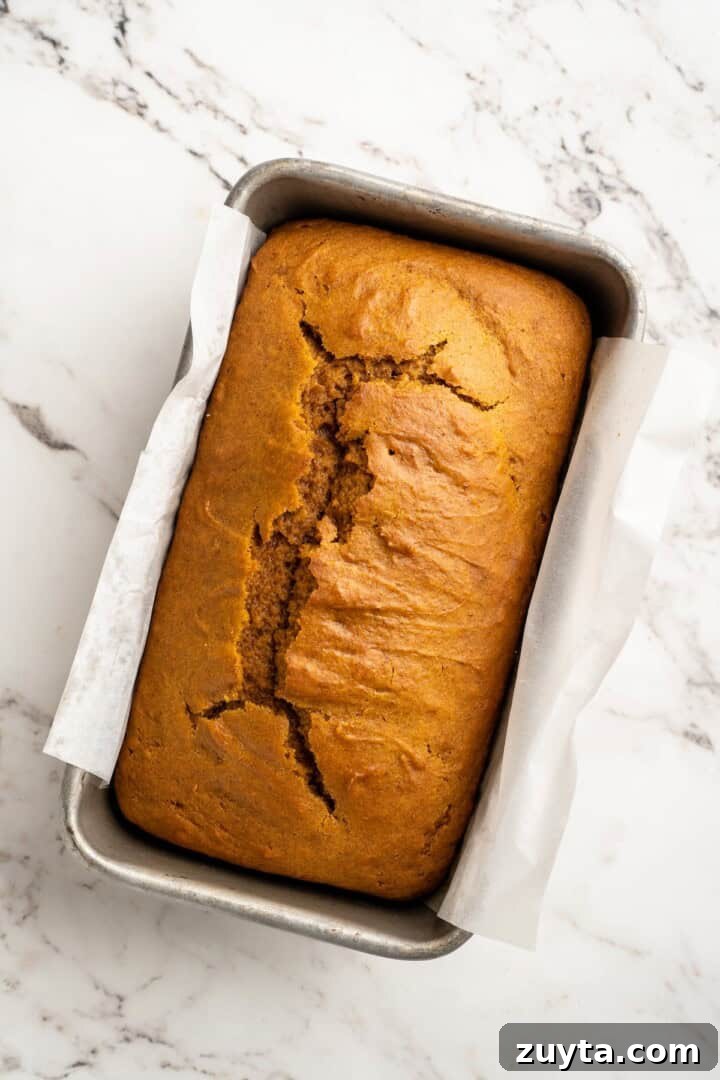 Bake and cool. Overhead view of baked pumpkin loaf