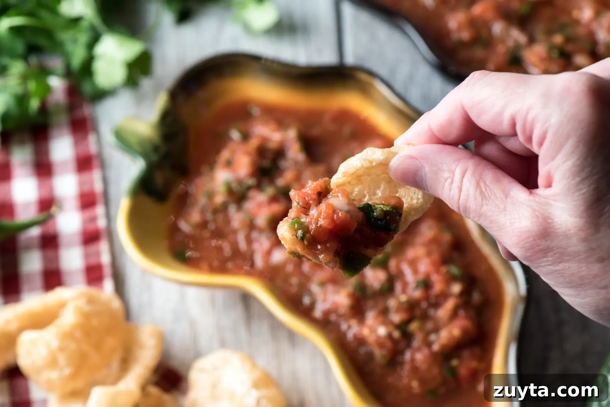 Smoky Chipotle Salsa Recipe for Tacos and Dips 10 Chicharron with salsa