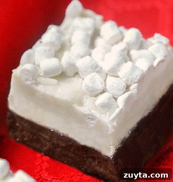 4-Ingredient Double-Layer Hot Chocolate Fudge 2 hot chocolate fudge