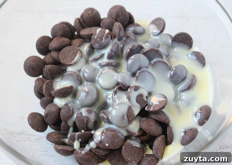 4-Ingredient Double-Layer Hot Chocolate Fudge 5 hot chocolate fudge