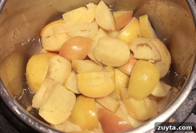 Homemade Instant Pot Applesauce Recipe 4 Cooked apple chunks in a pressure cooker.