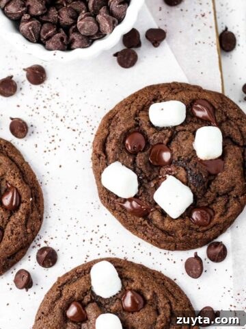 Hot Chocolate Cookies
