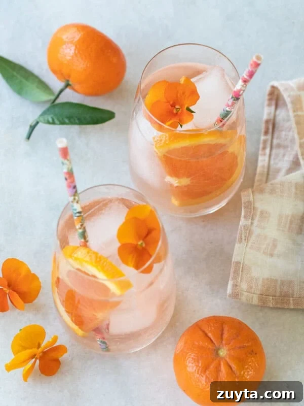 rosé spritzer recipe