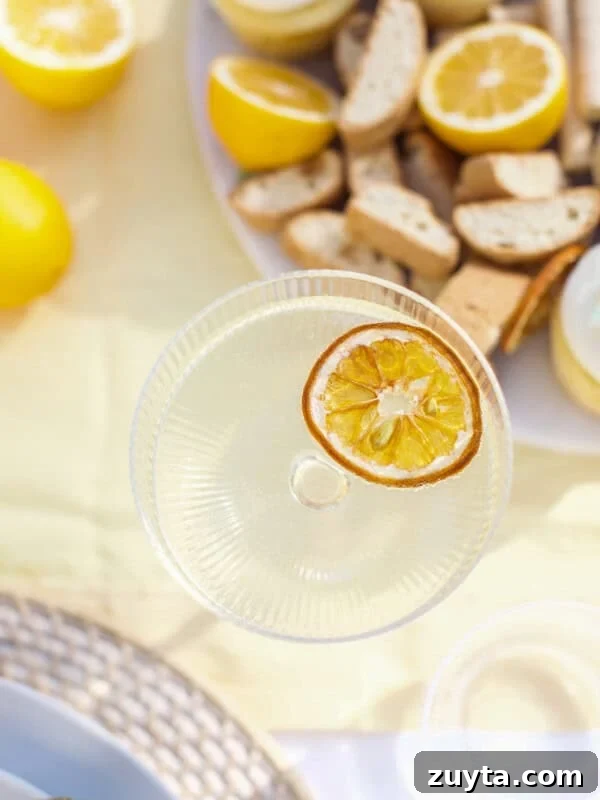 Easy lemon Spritz with a dehydrated lemon.