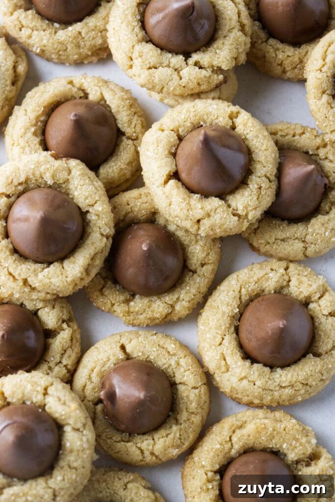 Classic Peanut Butter Blossom Cookies Recipe 2 Several peanut butter blossoms on a white counter.