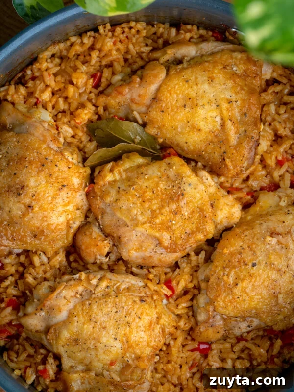 Arroz con pollo: seasoned chicken thighs on rice