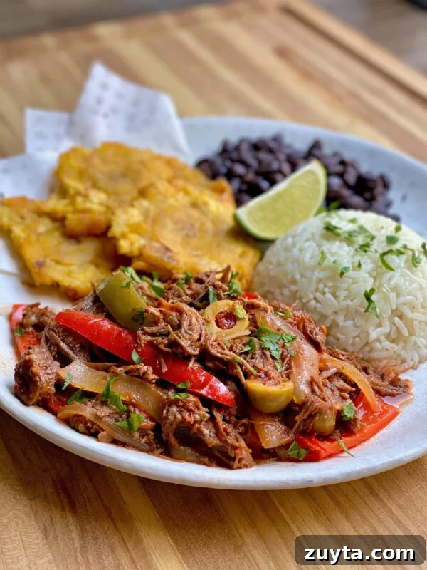 Ropa vieja braised beef