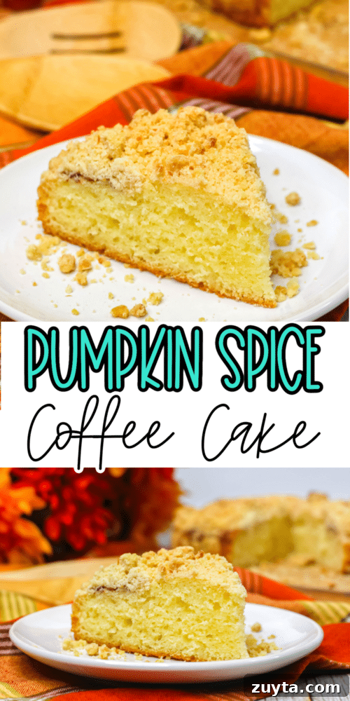 Pumpkin Spice Coffee Cake with Cinnamon Streusel 3 Pumpkin spice coffee cake closeup