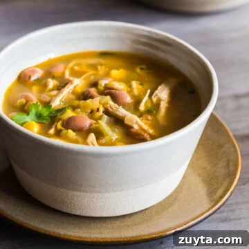chicken tomatillo soup
