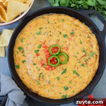 Cast iron pan of cheesy queso dip with cilantro, tortilla chips, and jalapeno garnish.
