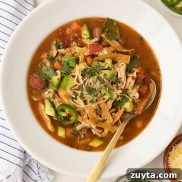 Close up of Mexican chicken soup in a white bowl.