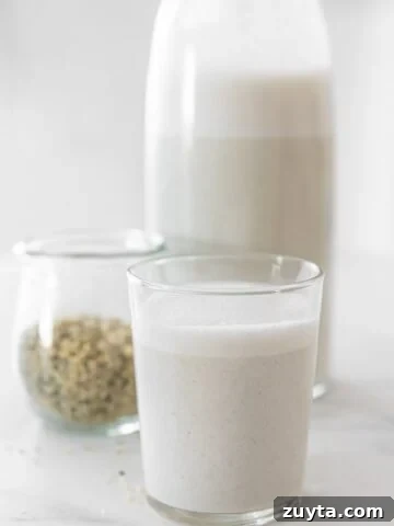 Hemp Milk