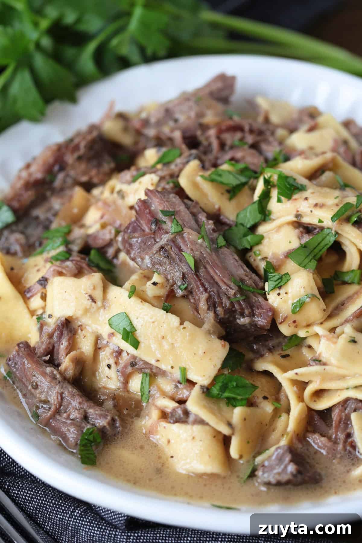 beef and noodles in a bowl with fresh parsley on top