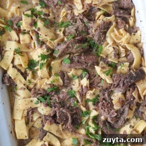 slow cooker with shredded beef and noodles