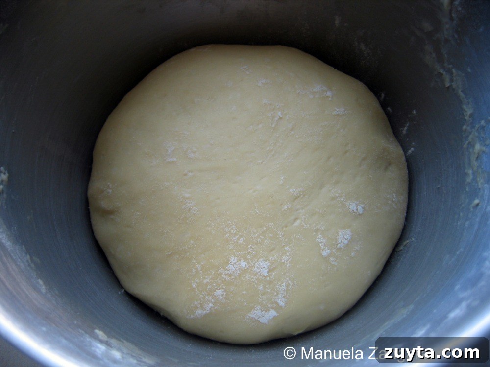 IMG_1215 img 8804 4