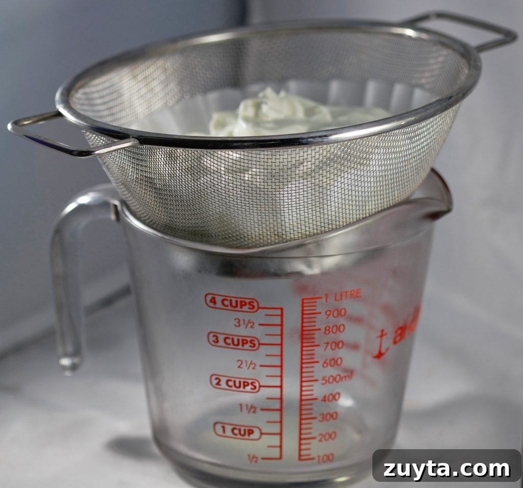 Authentic Greek Tzatziki Sauce: Creamy Yogurt-Dill Dip 3 taziki sauce
