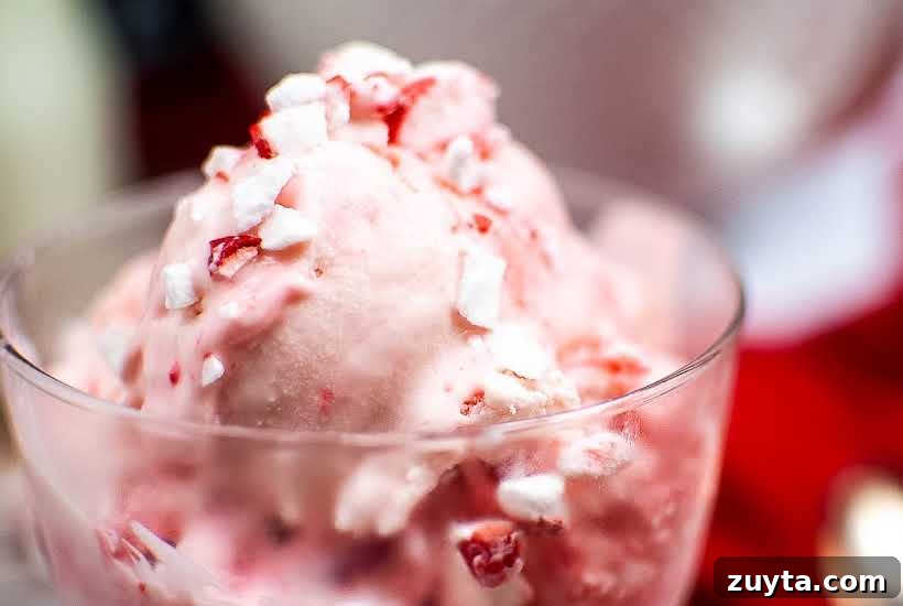 No-Churn Peppermint Ice Cream Recipe 5 Close up view of ice cream in a clear glass cup topped with crush candy canes.