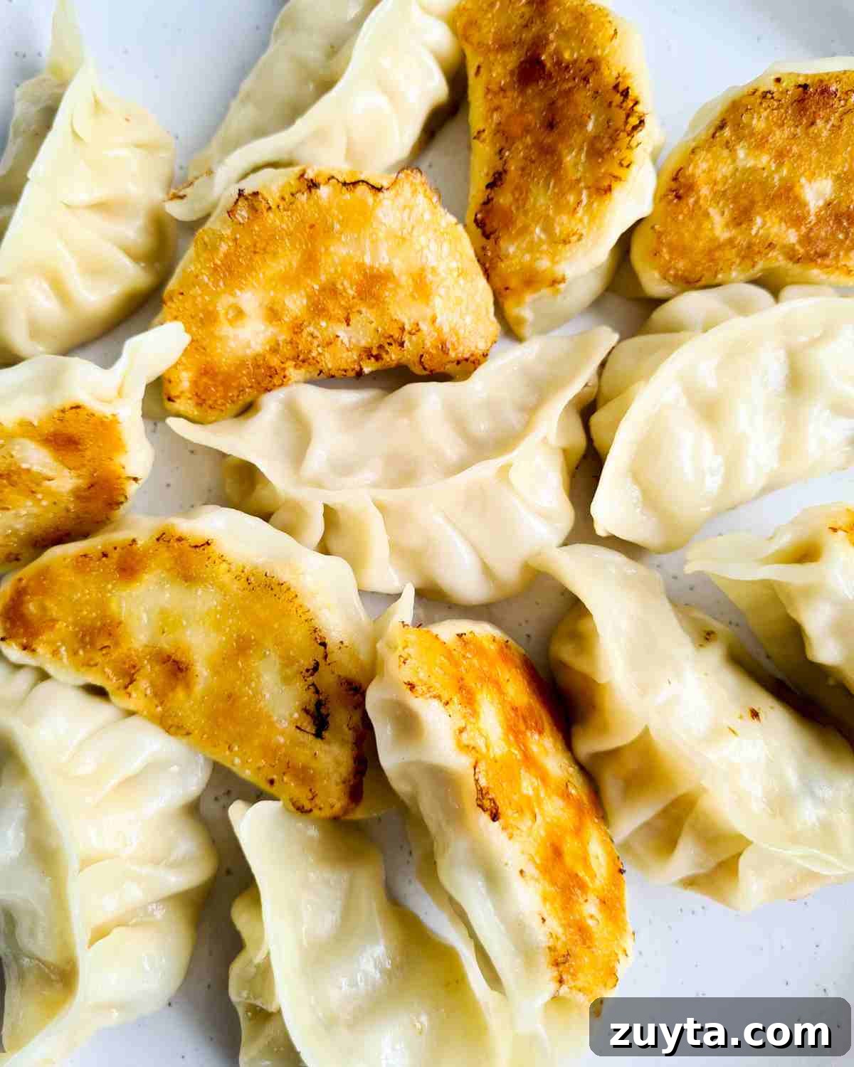 How to Make Authentic Chinese Chicken Dumplings 2 Close up of pan fried dumplings with half turned upside down revealing crispy and golden bottoms