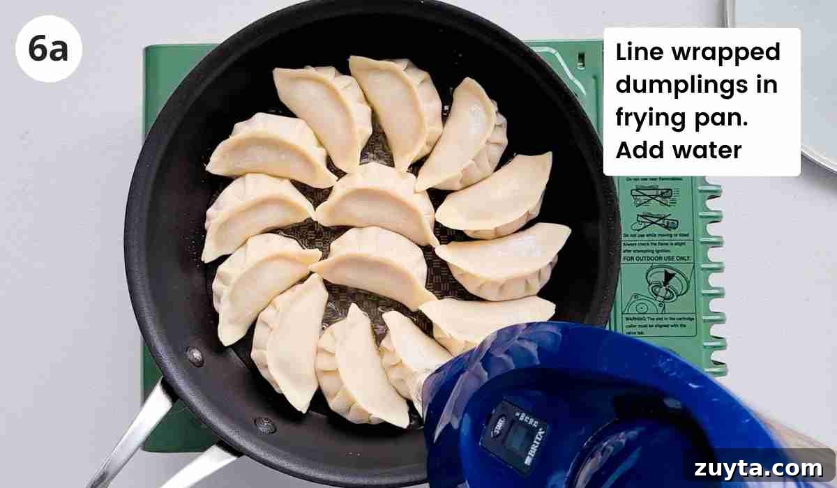 How to Make Authentic Chinese Chicken Dumplings 12 Water being added into a frying pan lined neatly with dumplings with captions