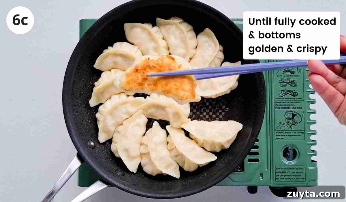 How to Make Authentic Chinese Chicken Dumplings 14 One dumpling being held up by a pair of chopsticks over a pan filled with dumplings.