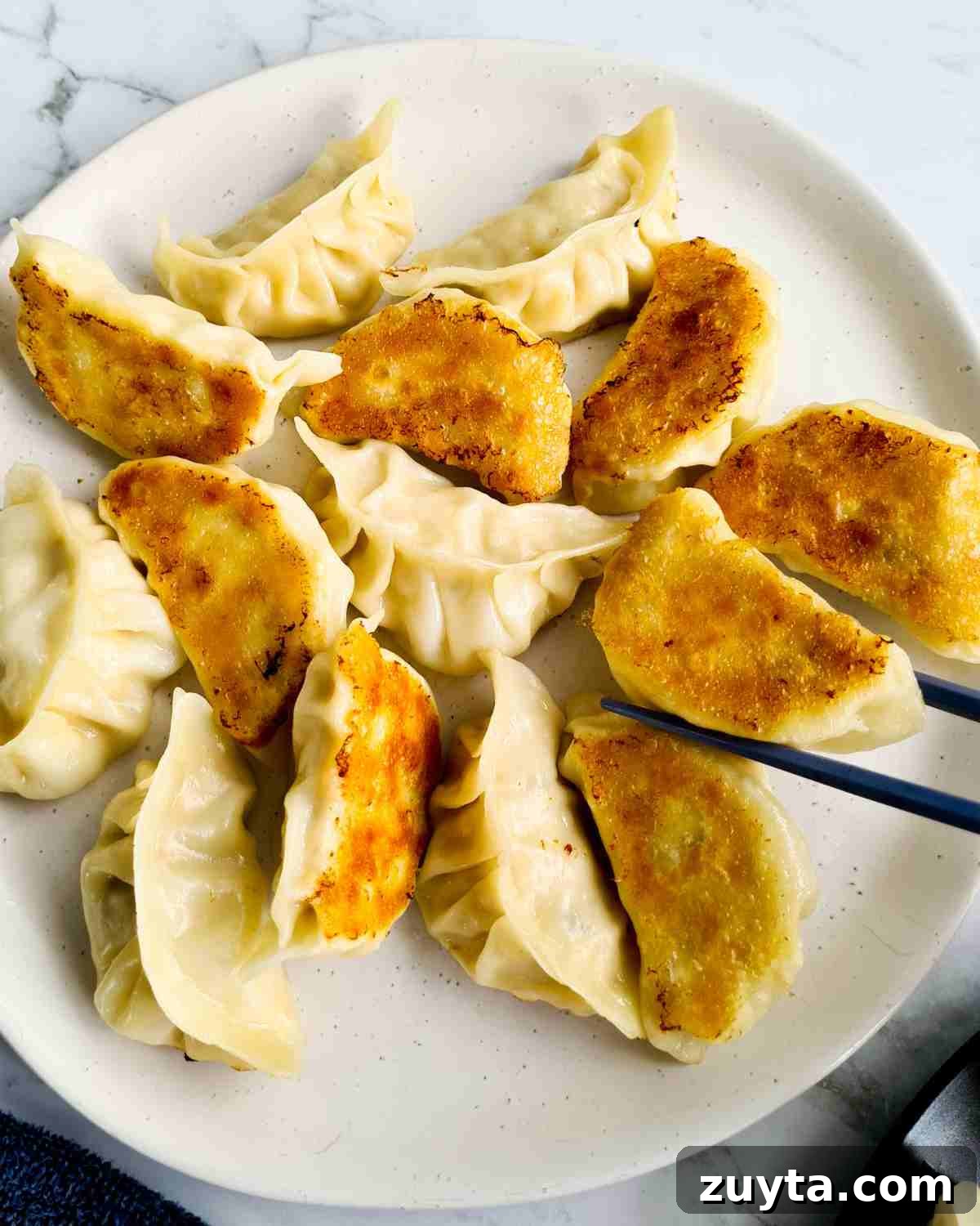 How to Make Authentic Chinese Chicken Dumplings 15 Pan fried dumplings on a large white plate