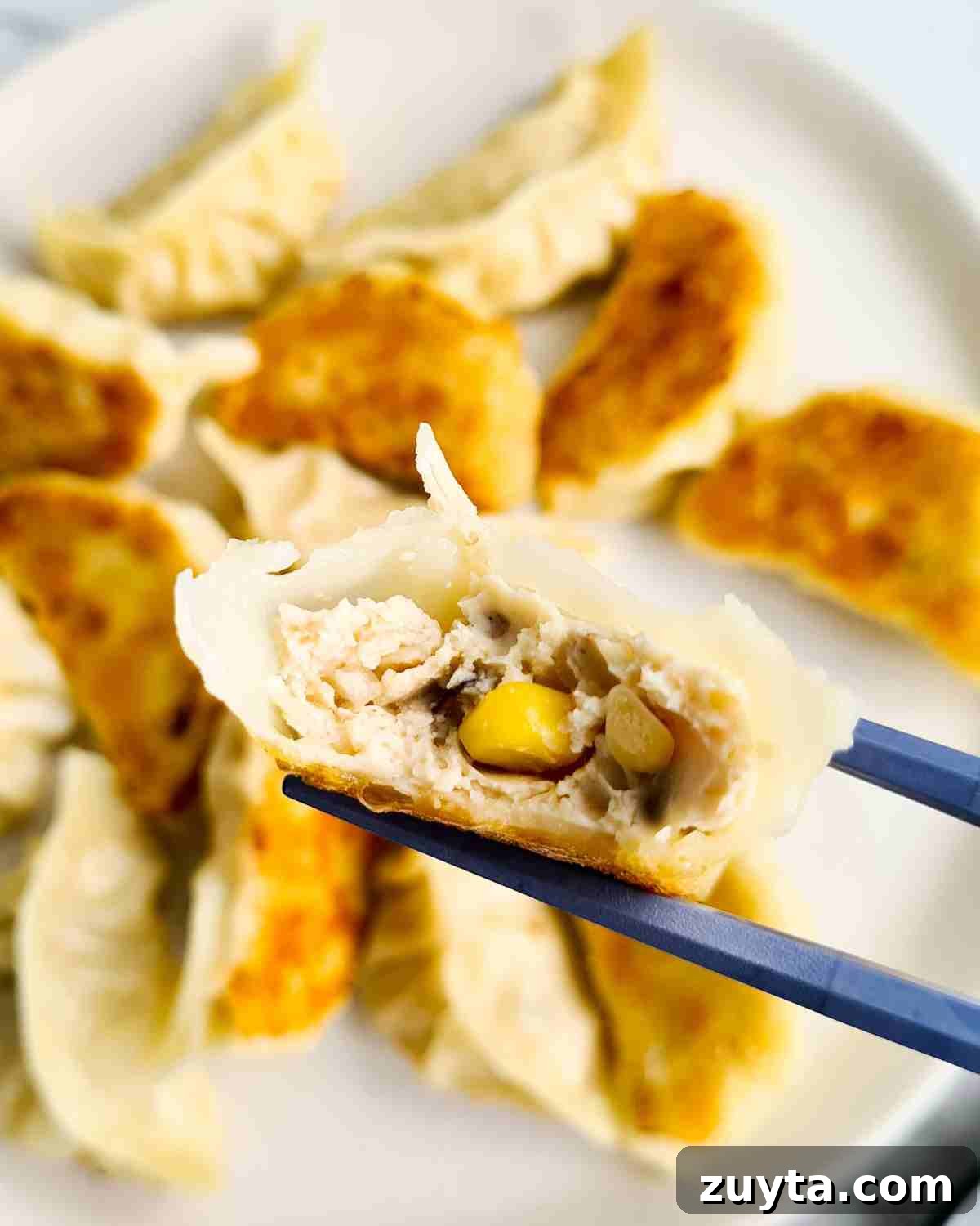 How to Make Authentic Chinese Chicken Dumplings 18 Close up of bitten dumpling held up by chopsticks revealing the filling