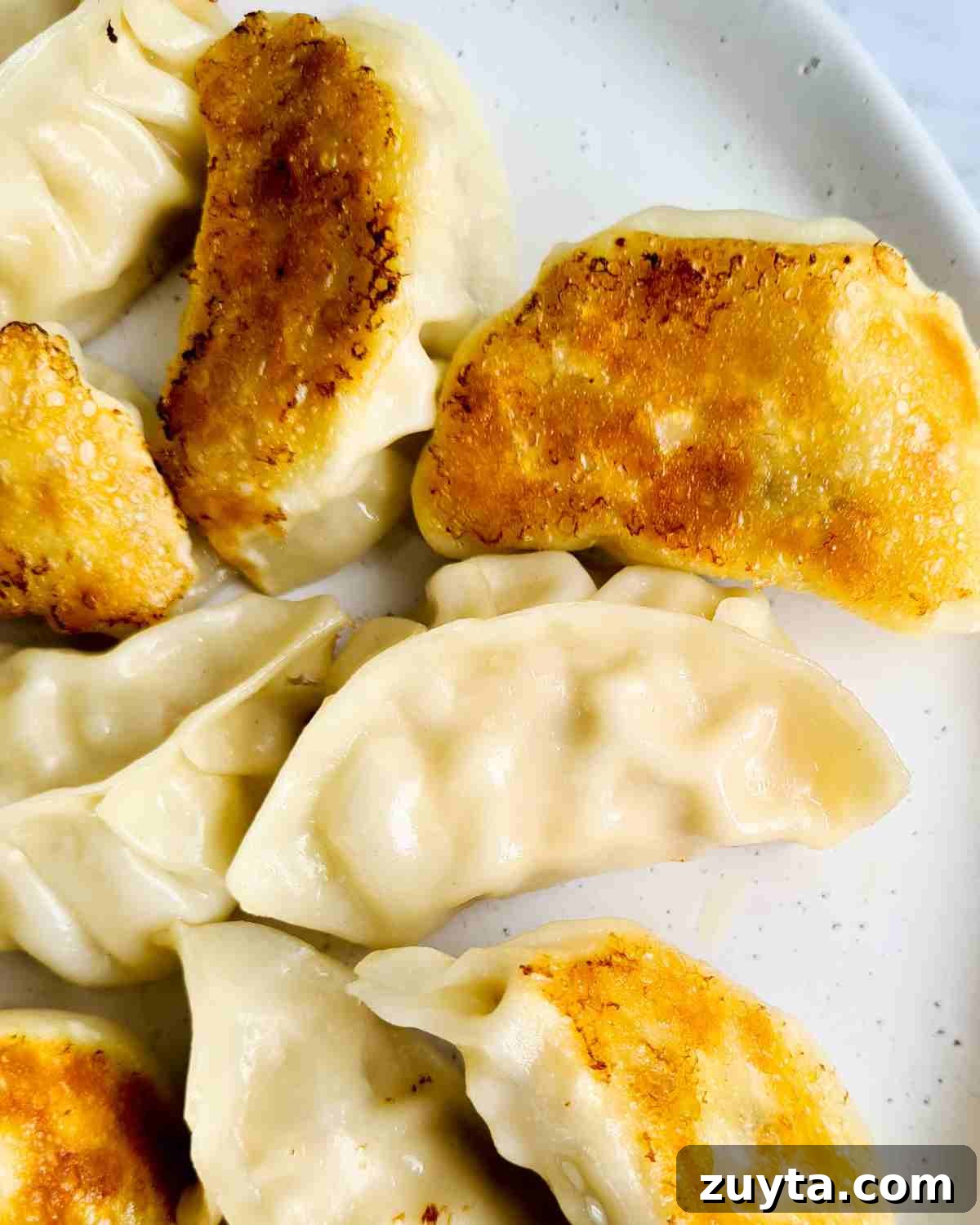 How to Make Authentic Chinese Chicken Dumplings 19 Close up of crispy pan fried dumpling