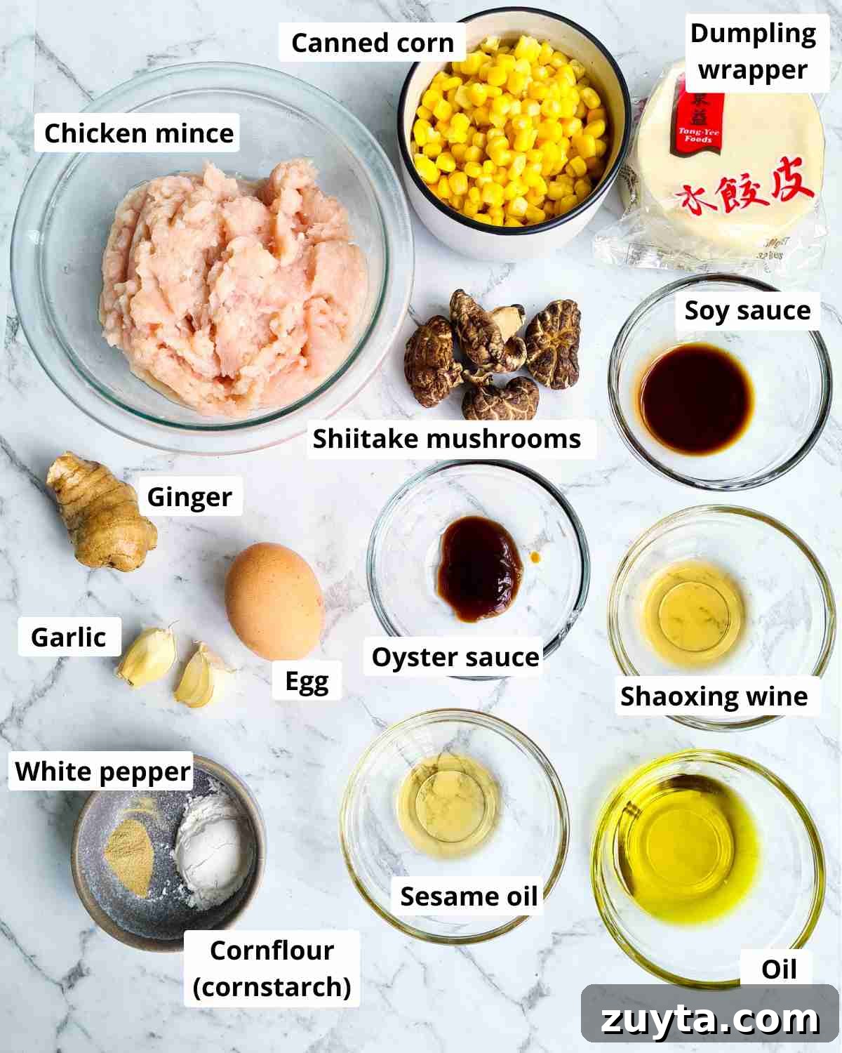 How to Make Authentic Chinese Chicken Dumplings 3 Ingredients required to make chicken dumplings, labeled